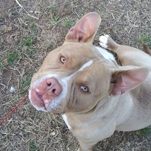 Meet your Posher, Kaitlyn